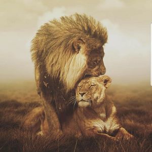 Meet your Posher, Taliferrio